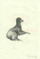 /album/desenhos/a35-jpg/