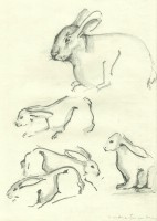 /album/desenhos/a37-jpg/