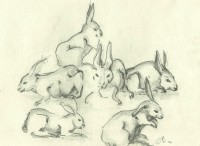 /album/desenhos/a38-jpg/