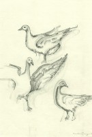 /album/desenhos/a43-jpg/