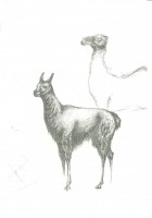 /album/desenhos/a44-jpg/