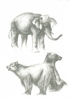 /album/desenhos/a45-jpg/
