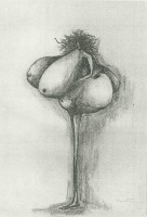 /album/desenhos/a48-jpg/